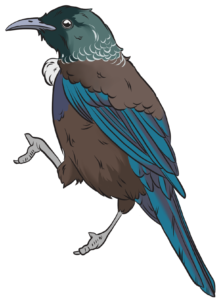 tui