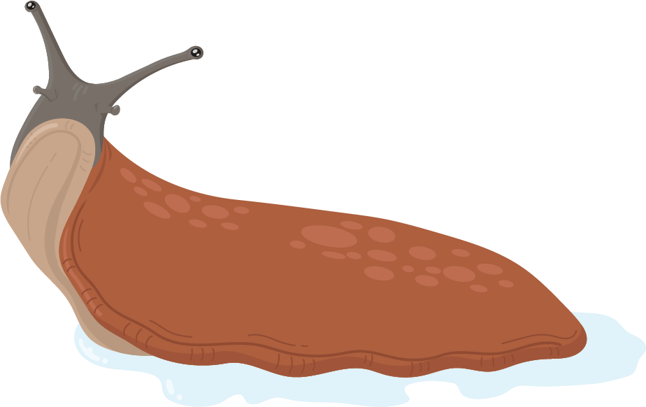 Slug