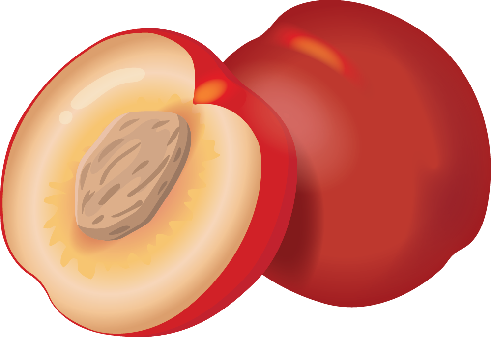 nectarine2