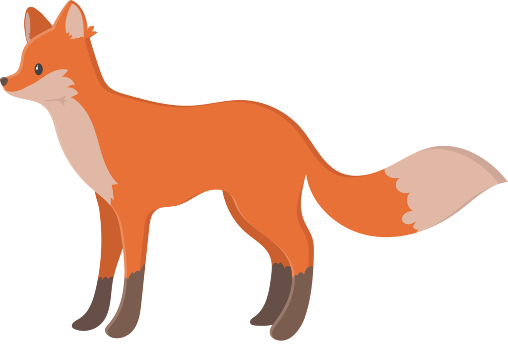 fox