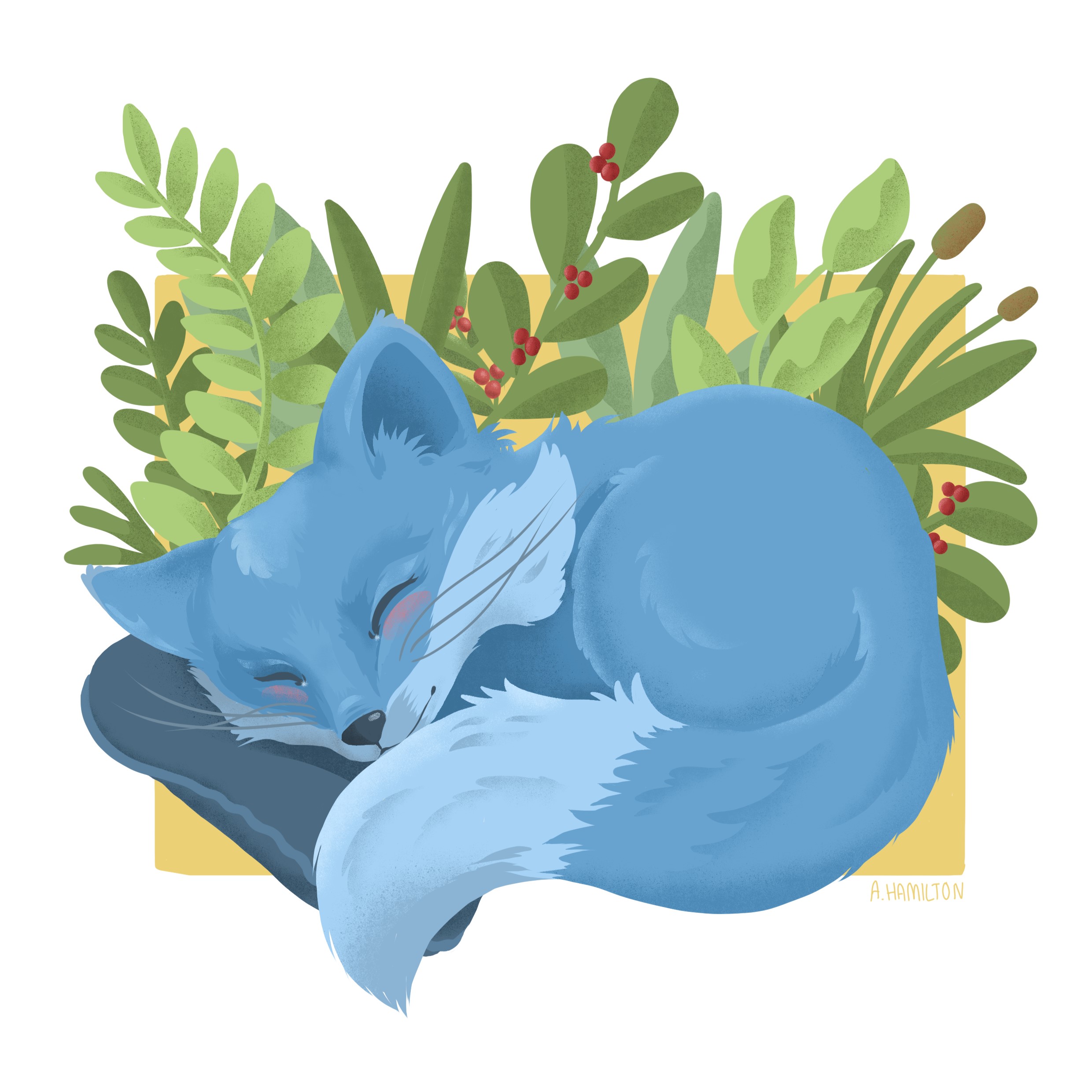 fox - Copy